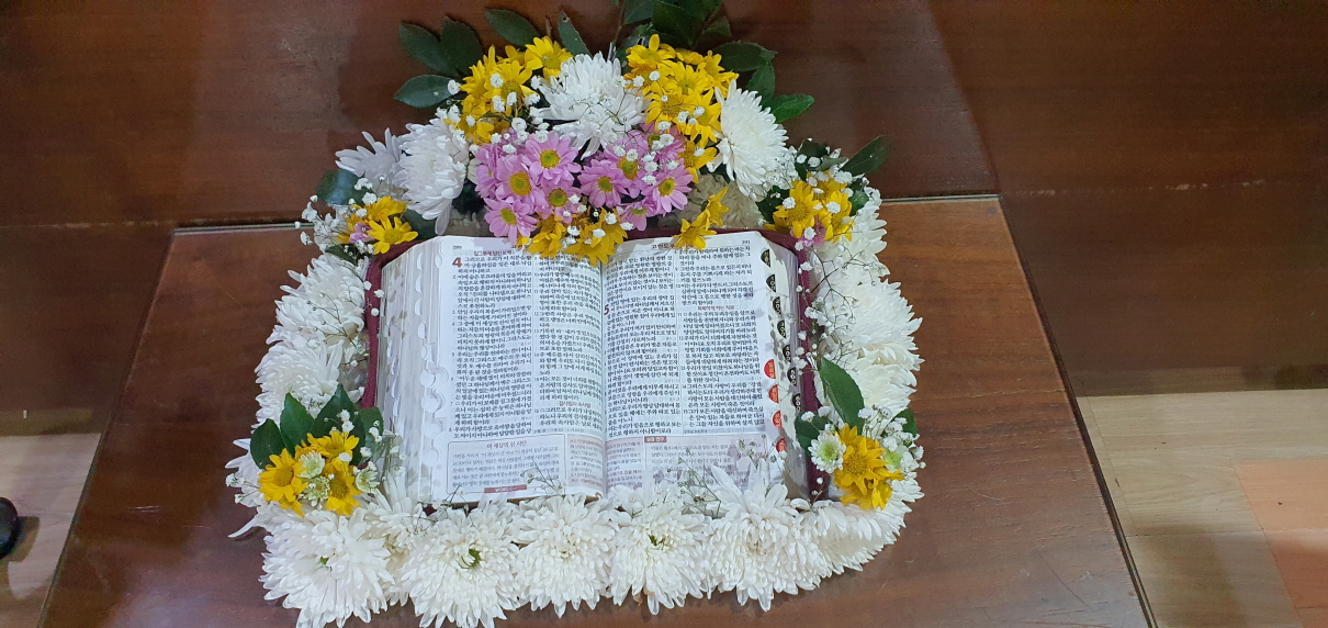 2049928719_mkA9eVx4_b00aac3d7a5eaf87feb25d12354db8623b28295e.jpg 이미지크게보기
