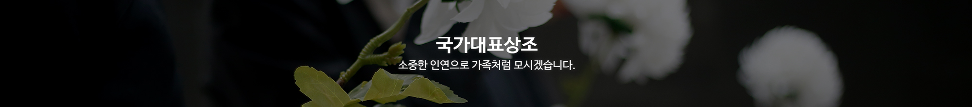 국가대표상조_이미지pc